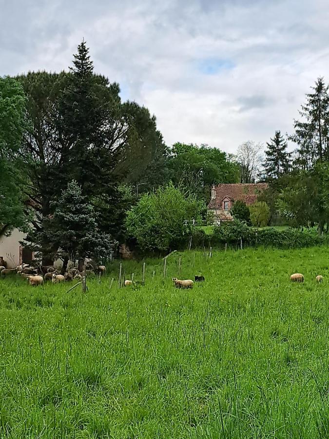 مبيت وإفطار Brigueuil-le-Chantre Chez Nous المظهر الخارجي الصورة